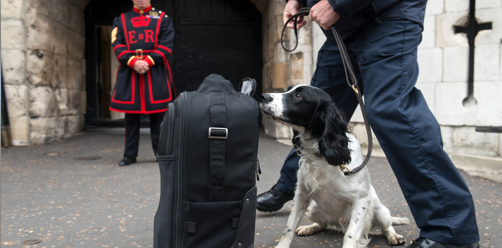 security for visitor attractions